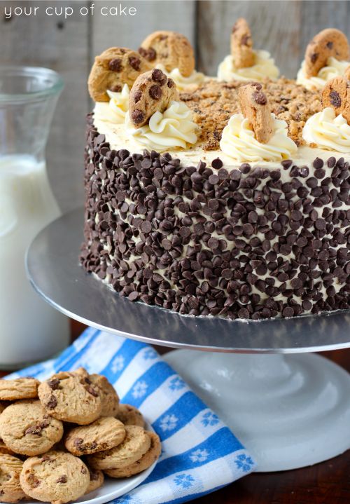 Best 25+ Chocolate chip cake ideas on Pinterest ...
