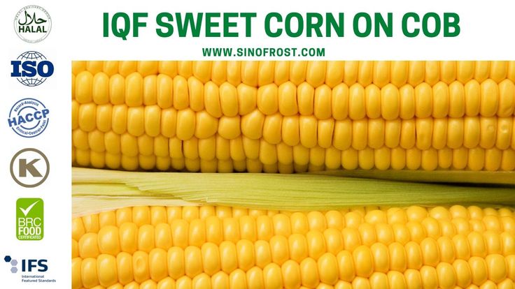 Frozen Sweet Corn On The COB Sweet Corn Corn Frozen Seafood Frozen Sweet Corn On The COB Sweet Corn Corn Frozen Seafood