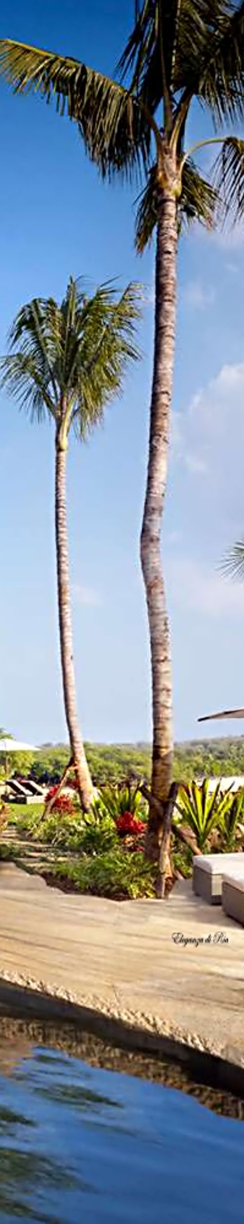 *Eleganza di Ria* Paradise images, Happy travels, Vacay
