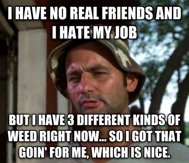 best 25 funny weed memes ideas on pinterest funny weed jokes ab224b30262c7c06d689cb77fb17c9cc best 25 funny weed memes ideas on pinterest funny weed jokes,Nice Meme Website