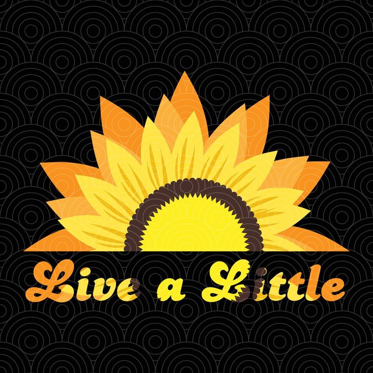 Download Live a little svg, just live a litle, sunflower svg ...