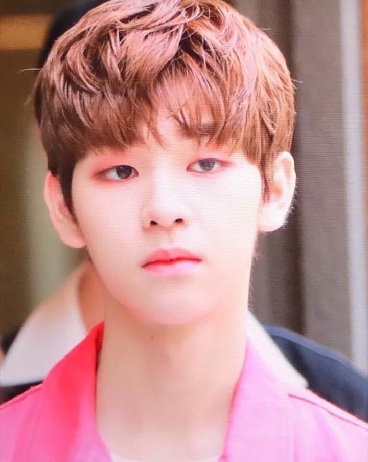 kim dongyun produce x 101 kim dongyun produce x 101