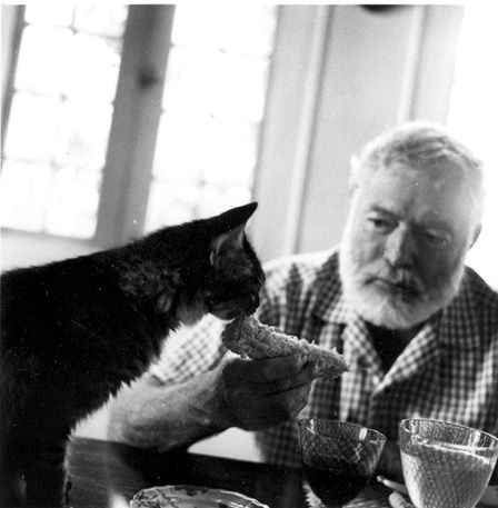 the life of author ernest hemingway essay Essays and criticism on ernest hemingway - critical essays hemingway, ernest (literary masters) hemingway, ernest (short story criticism) the author sees the safari as a metaphor for life itself. the life of author ernest hemingway essay Essays and criticism on ernest hemingway - critical essays hemingway, ernest (literary masters) hemingway, ernest (short story criticism) the author sees the safari as a metaphor for life itself.