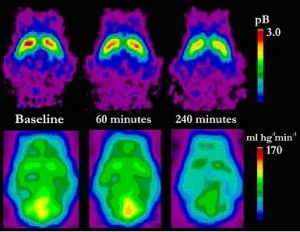 had sex while on acid had sex while on acid