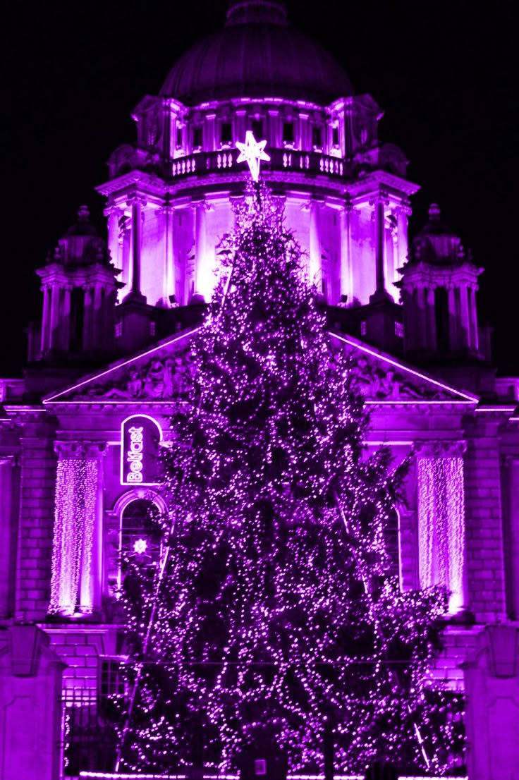 Best Purple Christmas Tree Ideas Only On Pinterest Purple - Best Purple Christmas Tree Ideas Only On Pinterest Purple Christmaswhen Is Festivus And Water Beads Walmart best purple christmas tree ideas only on pinterest purple - best purple christmas tree ideas only on pinterest purple christmaswhen is festivus and water beads walmart