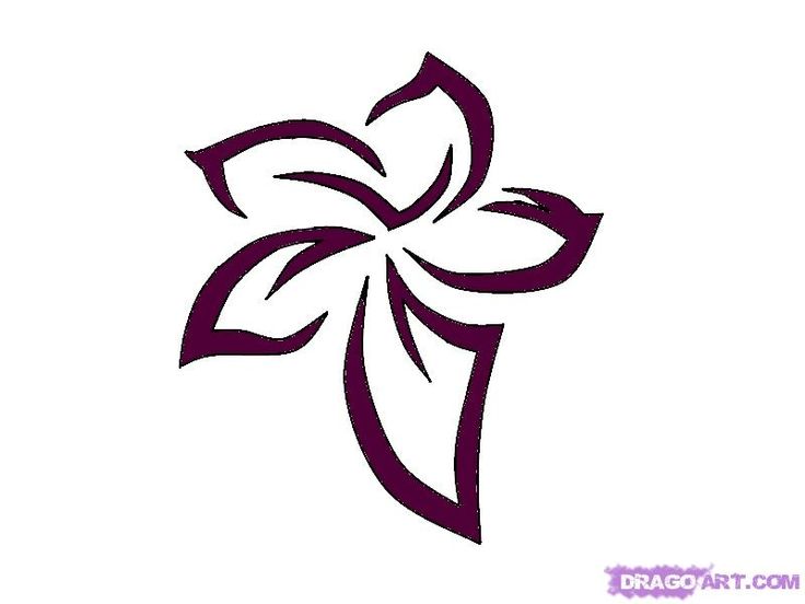 25 trending hawaiian flower drawing ideas on pinterest hibiscus 25 trending hawaiian flower drawing ideas on pinterest hibiscus