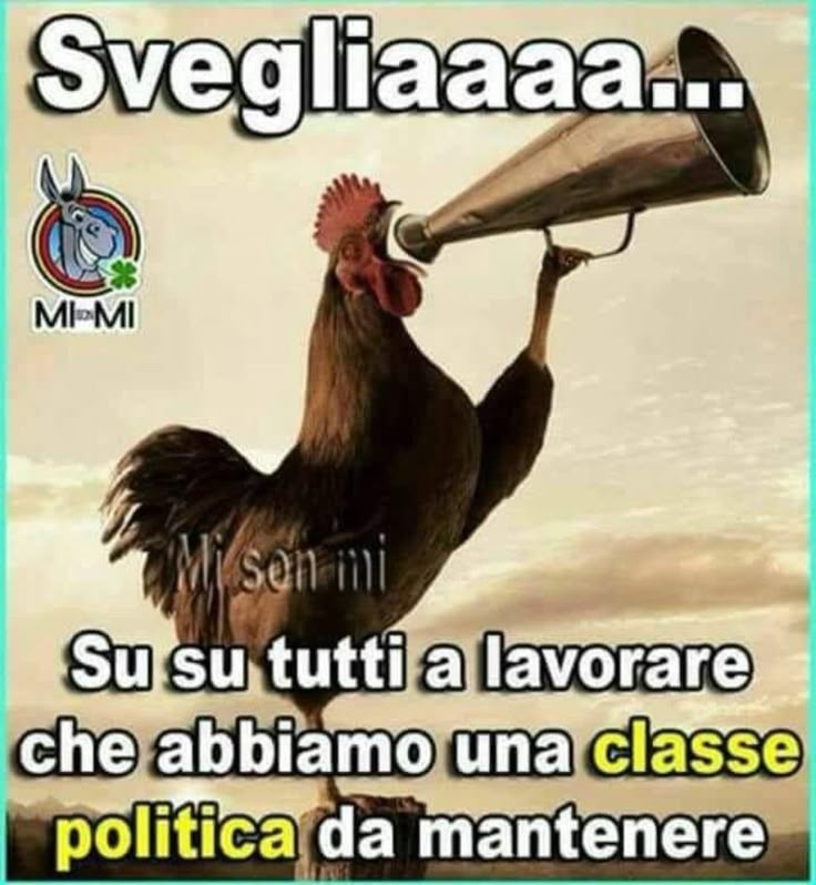 immagini buongiorno spiritose (1)