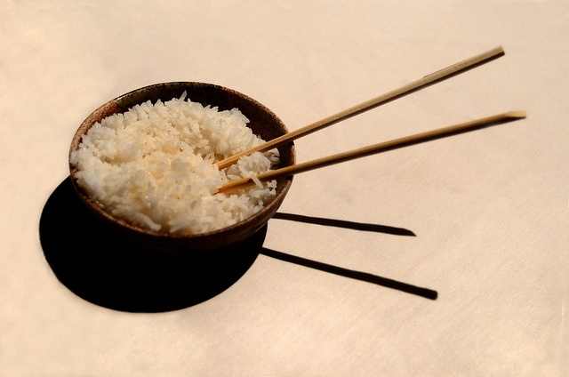 Pin By Heather Paich On Photography The Good Place Rice Photography Pin By Heather Paich On Photography The Good Place Rice Photography