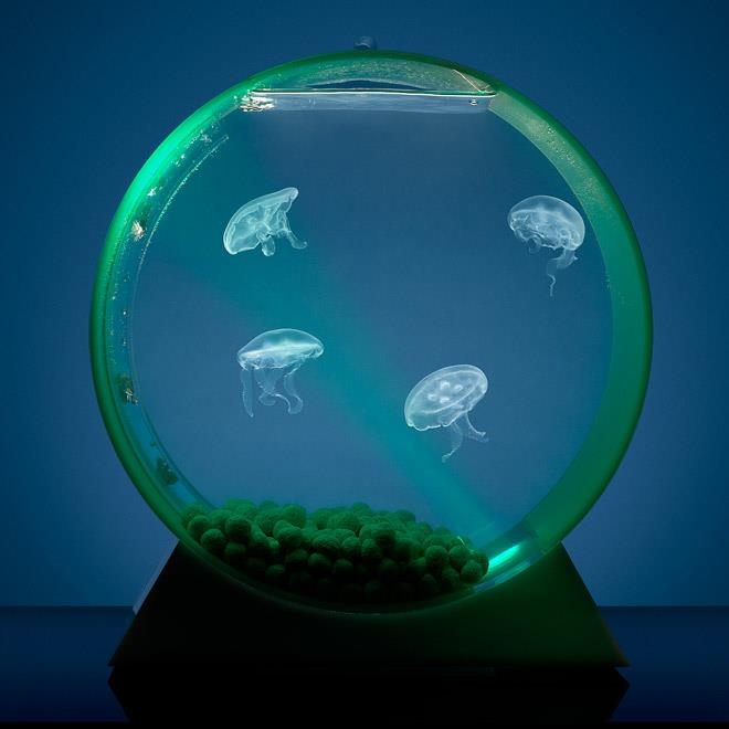 19 best Cool stuff for my room images on Pinterest | Home, Animals ... 19 best Cool stuff for my room images on Pinterest | Home, Animals ...