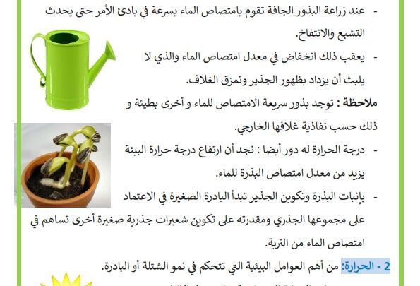 Photo Of تكاثر النباتات الظروف الملائمة للإنبات