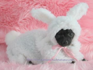 dog costume snuggle bunny little puppy rabbit halloween costume for the small dog small sizes - Halloween Costume For Small Dogs dog costume snuggle bunny little puppy rabbit halloween costume for the small dog small sizes - Halloween Costume For Small Dogs