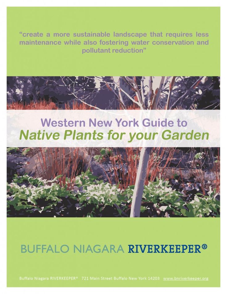 21 Best Great Books Images On Pinterest Native Plants
