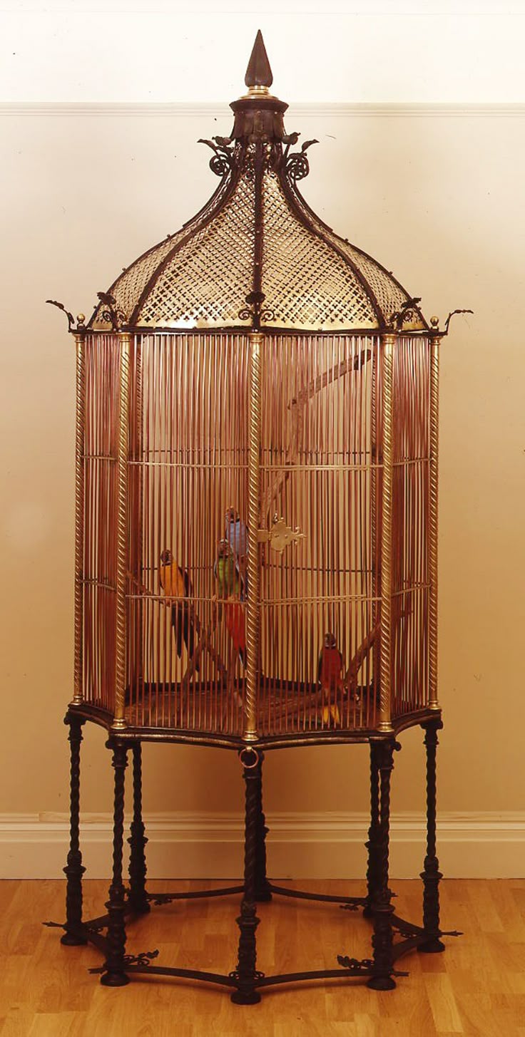 House style parakeet cage ideas House style parakeet cage ideas
