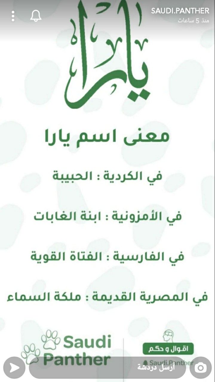 Pin By Syeℓma ۦ On إسم وغزل In 2020 Arabic Calligraphy Calligraphy