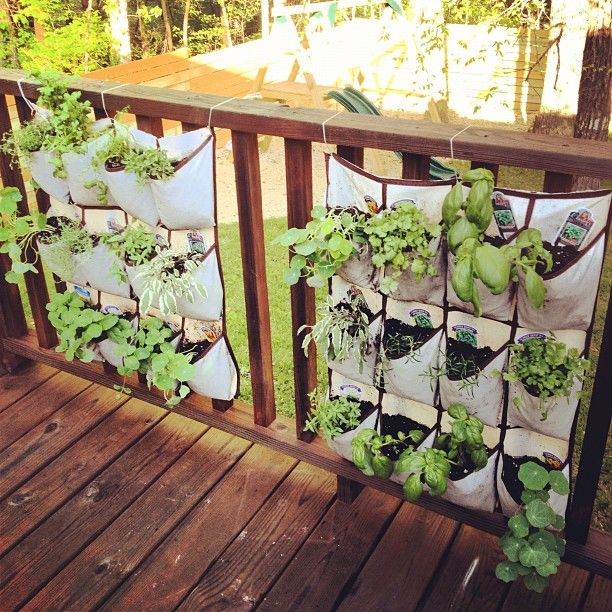 Hanging Herb Garden Ideas best 25+ small herb gardens ideas on pinterest | indoor herbs, diy Hanging Herb Garden Ideas best 25+ small herb gardens ideas on pinterest | indoor herbs, diy