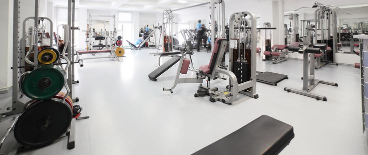 job trade me gym equipment job trade me gym equipment