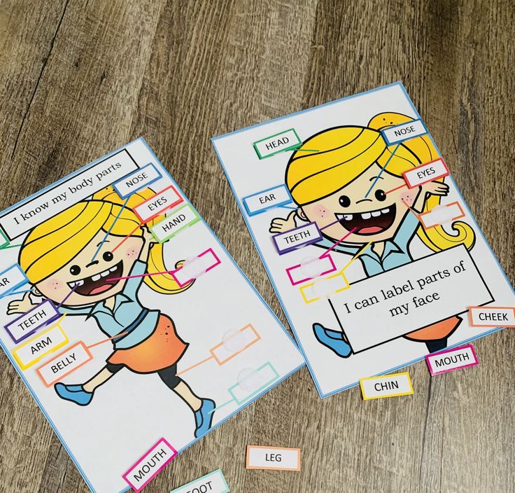 Learning anatomy Matching games Learning parts of the body | Etsy