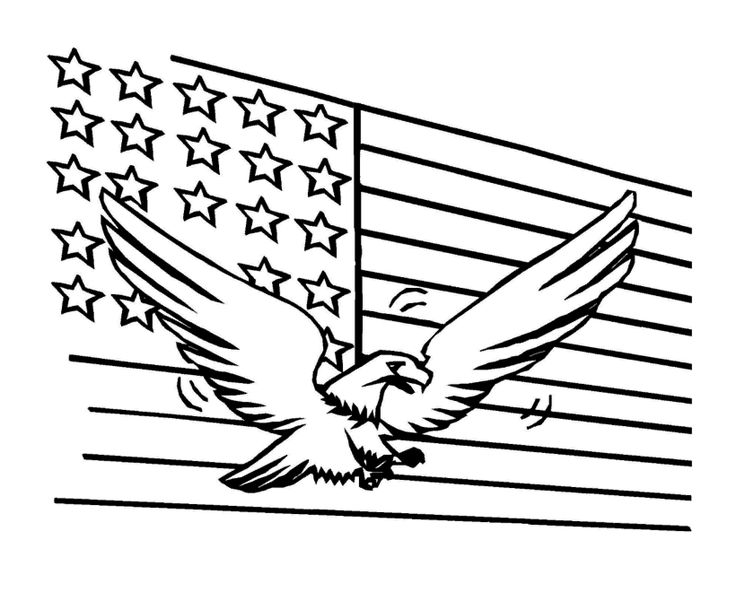 64 best coloring pages images on pinterest | coloring pages, boy ... - American Bald Eagle Coloring Page 64 best coloring pages images on pinterest | coloring pages, boy ... - American Bald Eagle Coloring Page