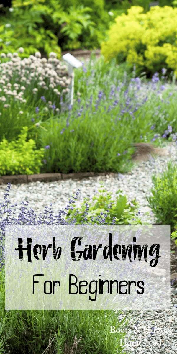 Gardening For Beginners