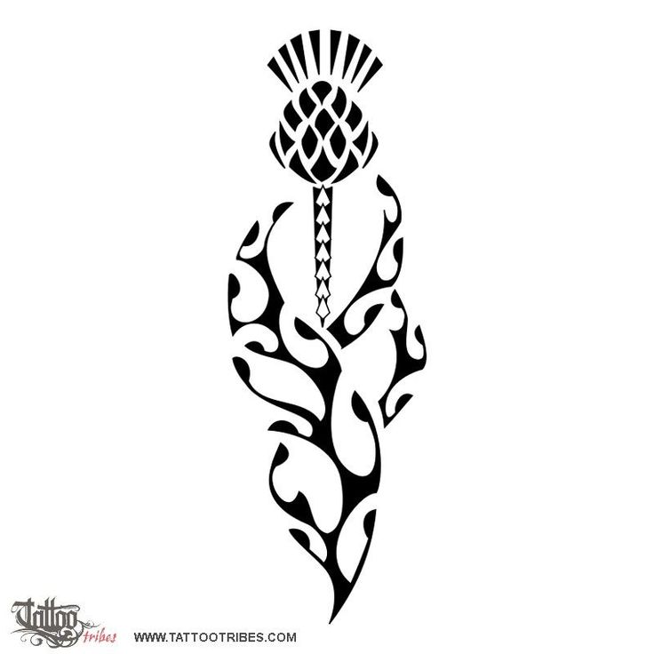best 25 spear meaning ideas on pinterest female meaning female best 25 spear meaning ideas on pinterest female meaning female