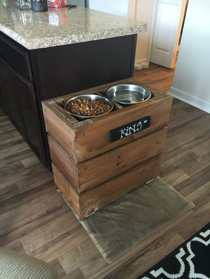 Great Danes Elevated dog bowls for my Great Dane Great
