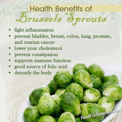 Can Dogs Eat Raw Brussels Sprouts Can Dogs Eat Raw Brussels Sprouts