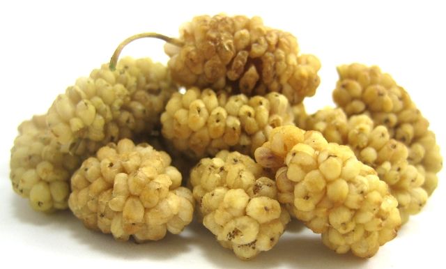 Mulberries Mulberries Nuts Com Food High Protein Recipes Healthy Snacks Mulberries Mulberries Nuts Com Food High Protein Recipes Healthy Snacks