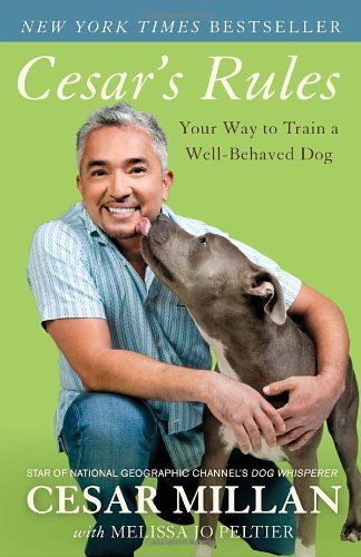 New Cesar S Rules Your Way To Train A Well Behaved Dog New Cesar S Rules Your Way To Train A Well Behaved Dog