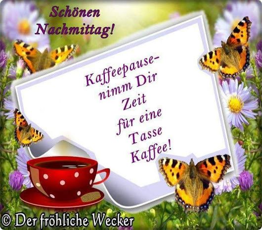Schönen sonntag nachmittag bilder
