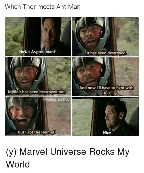 best 25 avengers memes ideas only on pinterest avengers funny acaa8a976aa00bcd0e5dc474b718639d marvel funny memes avengers memes best 25 avengers memes ideas only on pinterest avengers funny,Avengers Meme