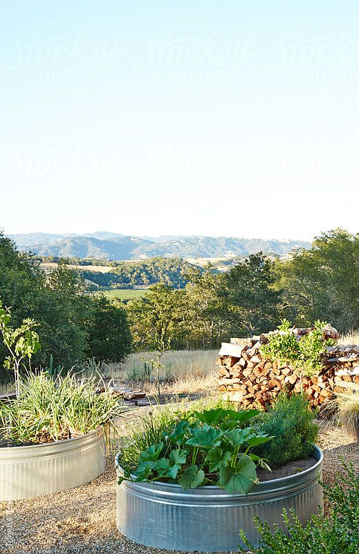278 best 08 Outdoor container ve able garden in backyard in Sonoma California by Trinette Reed