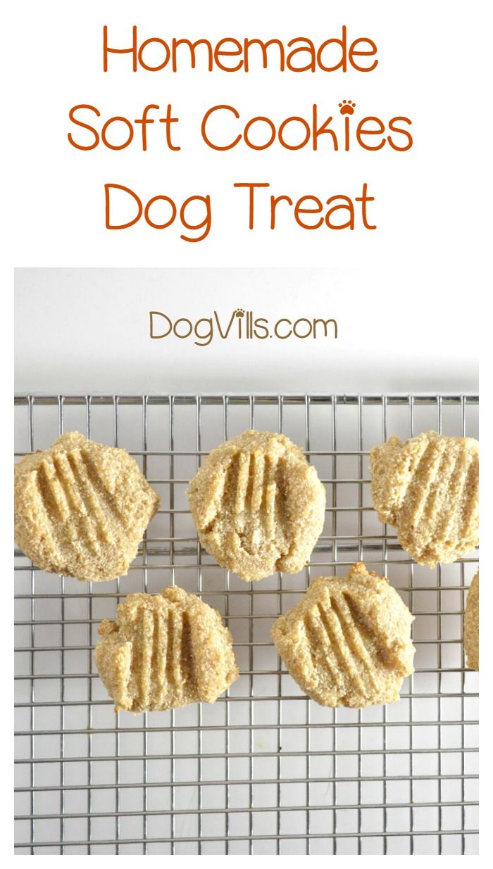 Recipes To Make Hypoallergenic Dog Food Recipes To Make Hypoallergenic Dog Food