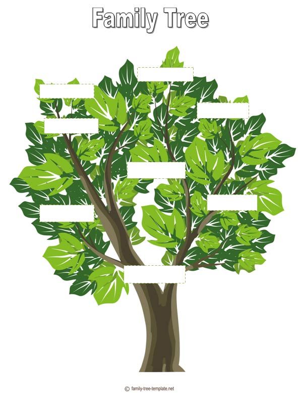blank family tree for kids