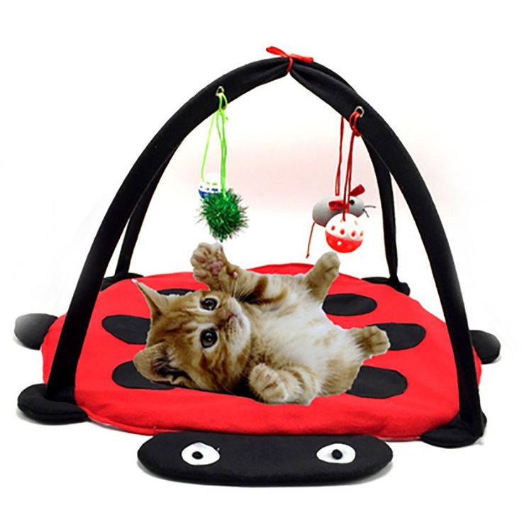 Site pour chat nrj