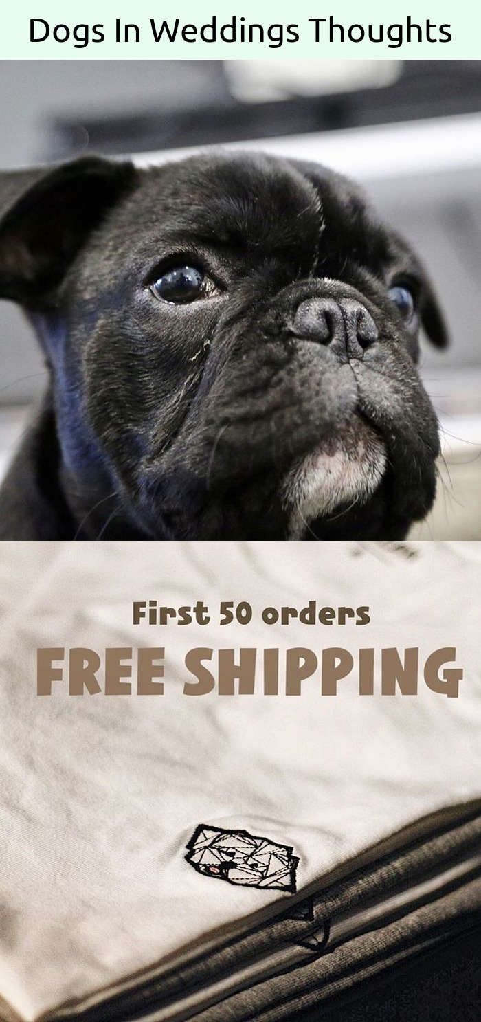 Willing Funny Dog Quotes Tumblr Dog Quotes Funny Dog Quotes