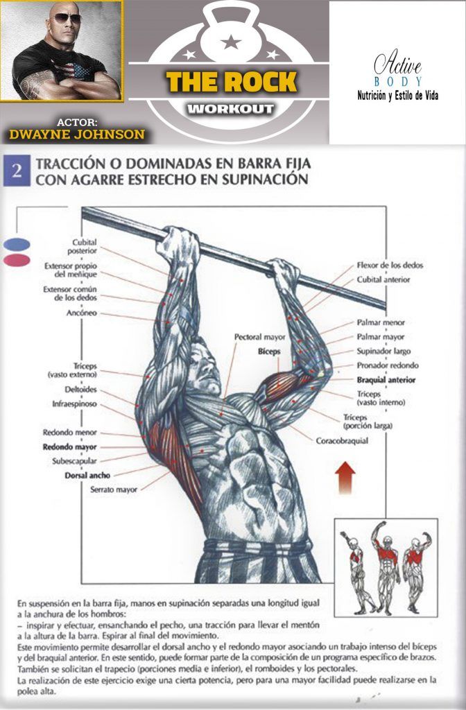 Pin On Los Mejores Ejercicios Para Desarrollar El Pecho Pectoral