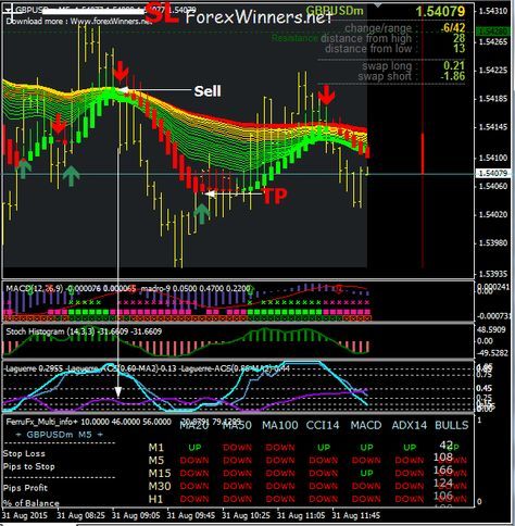 The 17 minute forex secret revealed