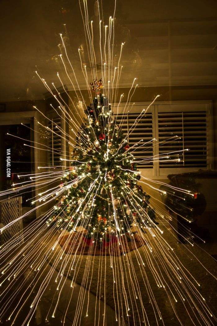 When you zoom out while taking picture of a Christmas tree in 2020