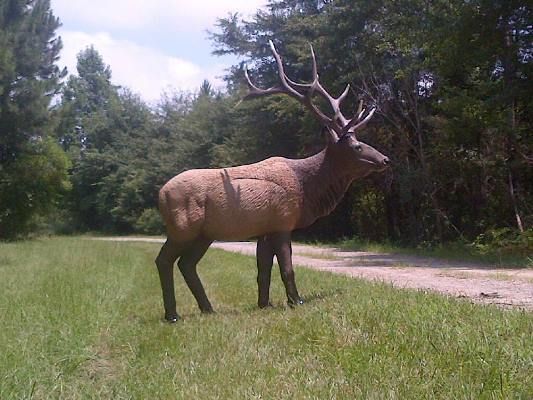 Nice Targets Deer Target Face