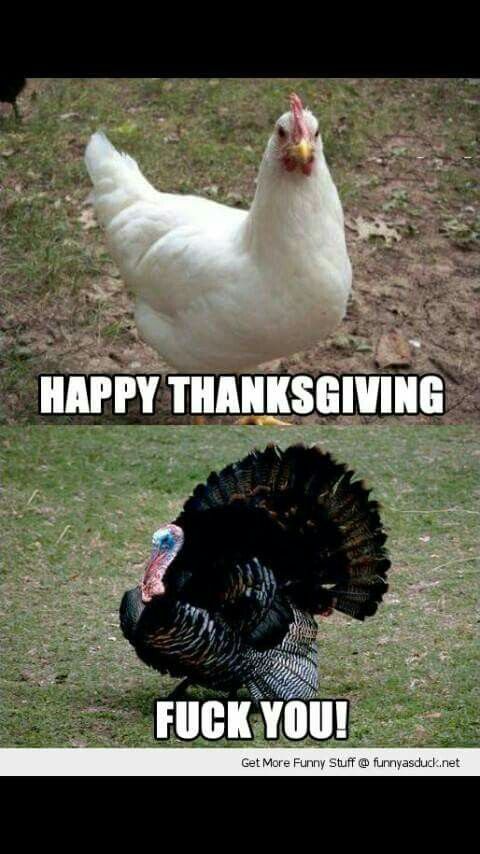 Gobble Gobble Funny Thanksgiving Memes Happy Thanksgiving Memes Ad496694857821ccb64c0dfc6953ad2e Awesome