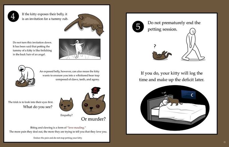 How To Tell If You Cat Is Plotting To Kill You Cat Books Cat Plots how-to-tell-if-you-cat-is-plotting-to-kill-you-cat-books-cat-plots