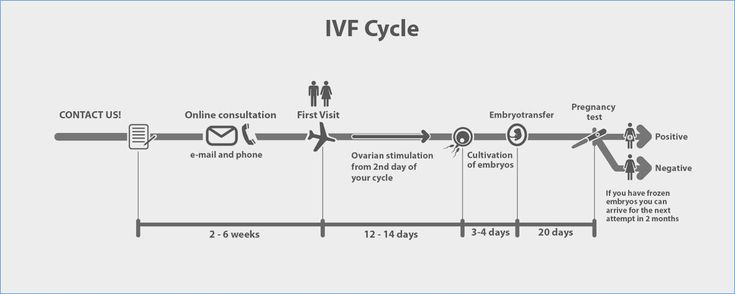 infertility and egg donation essay The chance of having twins with egg donation is at 366 percent 37 percent of egg donor pregnancies carried triplets or greater to reduce egg donation risks with multiples, most ivf programs will only transfer two embryos. infertility and egg donation essay The chance of having twins with egg donation is at 366 percent 37 percent of egg donor pregnancies carried triplets or greater to reduce egg donation risks with multiples, most ivf programs will only transfer two embryos.