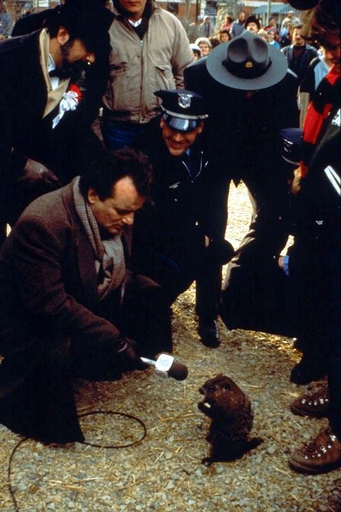 groundhog day director 18 best thrill murray images on bill murray groundhog day director 18 best thrill murray images on bill murray