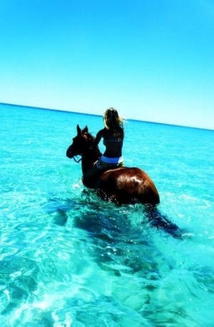 Horseback Riding On The Beach Check Horses In Ocean Horseback Riding On The Beach Check Horses In Ocean Needs To Hen Dear Life Here Are My Demands 2018 Pinterest