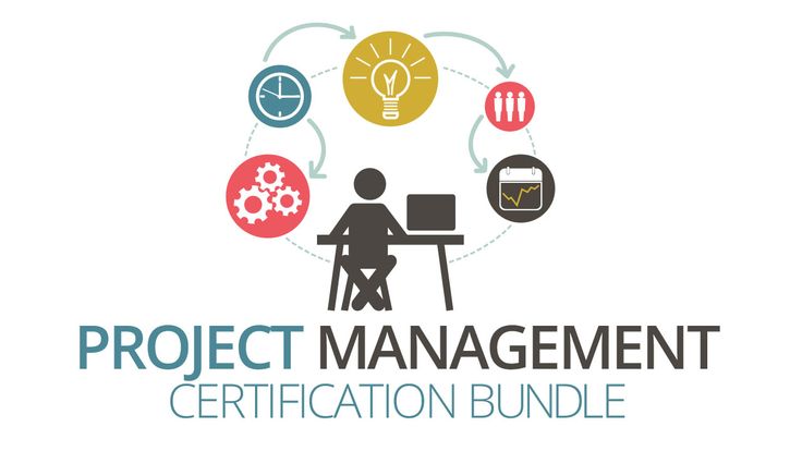 Business Project Management Diagram. Conceptual diagram view of business project