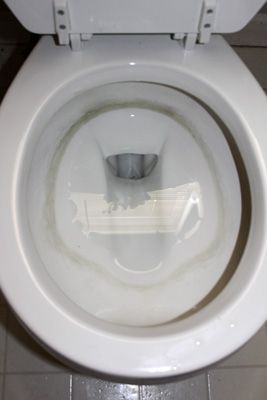 Surefire Ways To Remove Ugly Hard Water Stains From A Toilet Surefire Ways To Remove Ugly Hard Water Stains From A Toilet Household Tips Pinterest Cleaning And