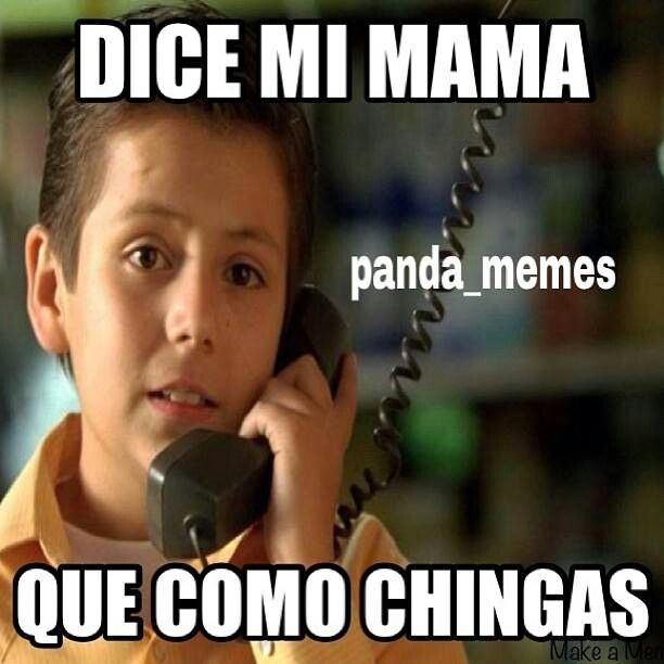 74 best memes chistoso images on pinterest funny stuff, funny ae0fb343f5fe09f7fd8f9b3dcdaf21f3 mexican funny mexican memes 74 best memes chistoso images on pinterest funny stuff, funny
