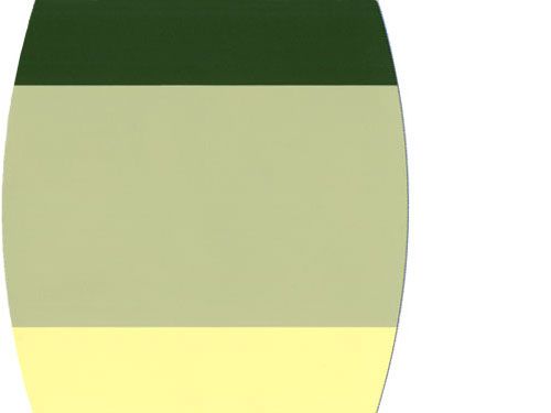 Pictures Of Trees To Paint Pictures Of Trees To Paint