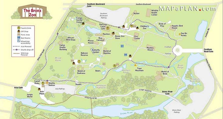 maps of new york top tourist attractions free printable