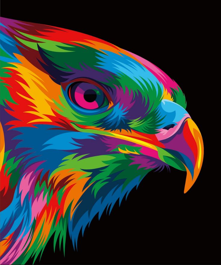 13 Colorful Animal Vector Illustration on Behance | Colorful animal ...